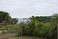 23 06 16_8029_edited-1